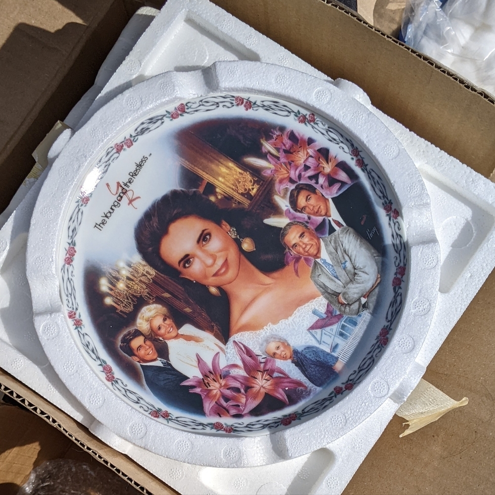 Young & the Restless Collectors Plates
